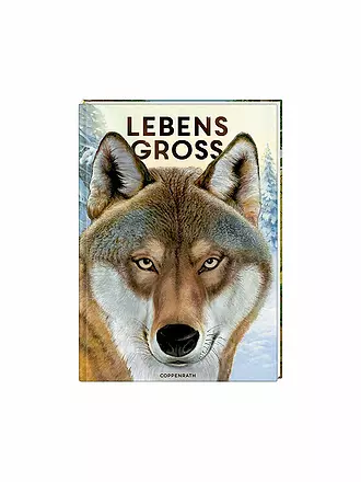 COPPENRATH VERLAG | Livre - Grandeur nature - Animaux de la forêt | 